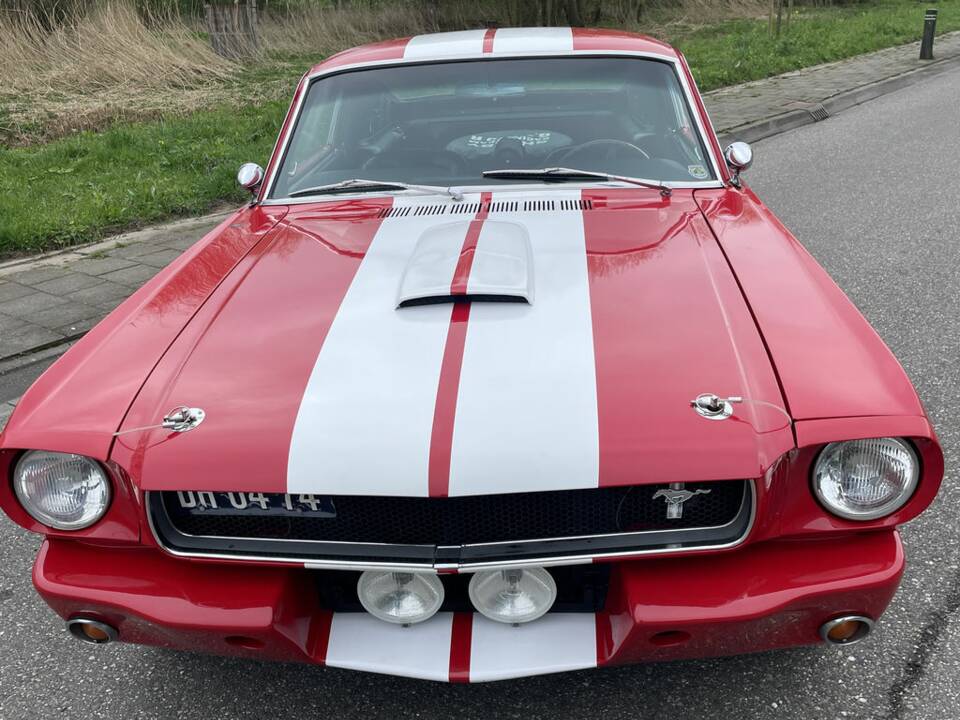 Imagen 3/7 de Ford Shelby GT 350 (1965)