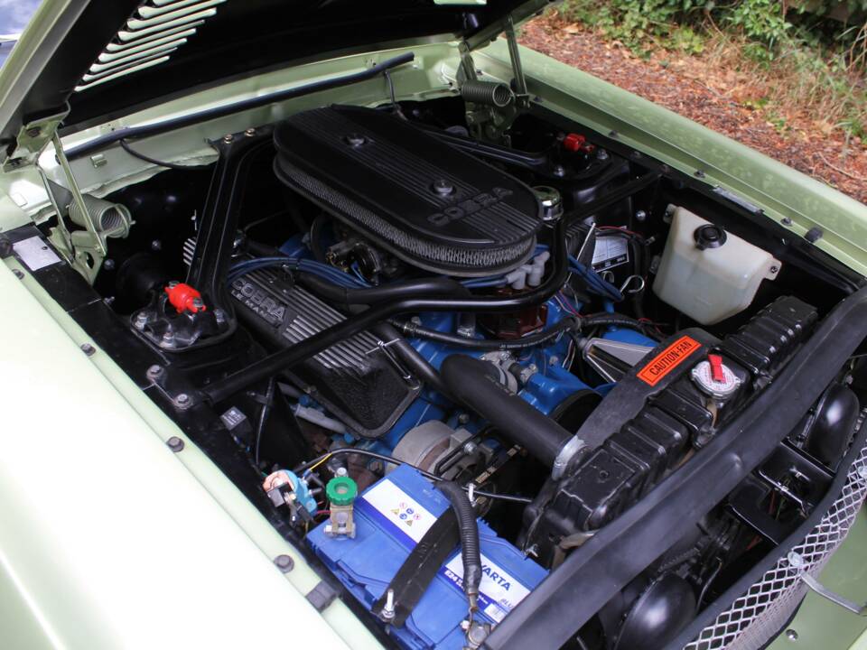 Image 14/18 of Ford Shelby GT 500 (1968)