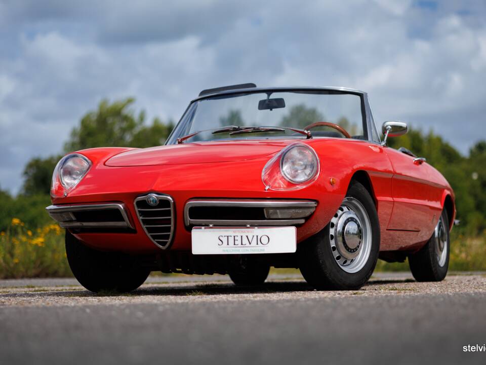 Image 4/44 of Alfa Romeo 1750 Spider Veloce (1969)