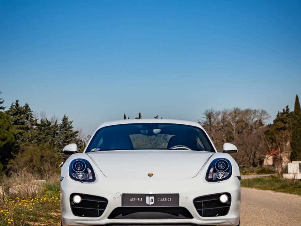 Image 44/50 of Porsche Cayman S (2013)