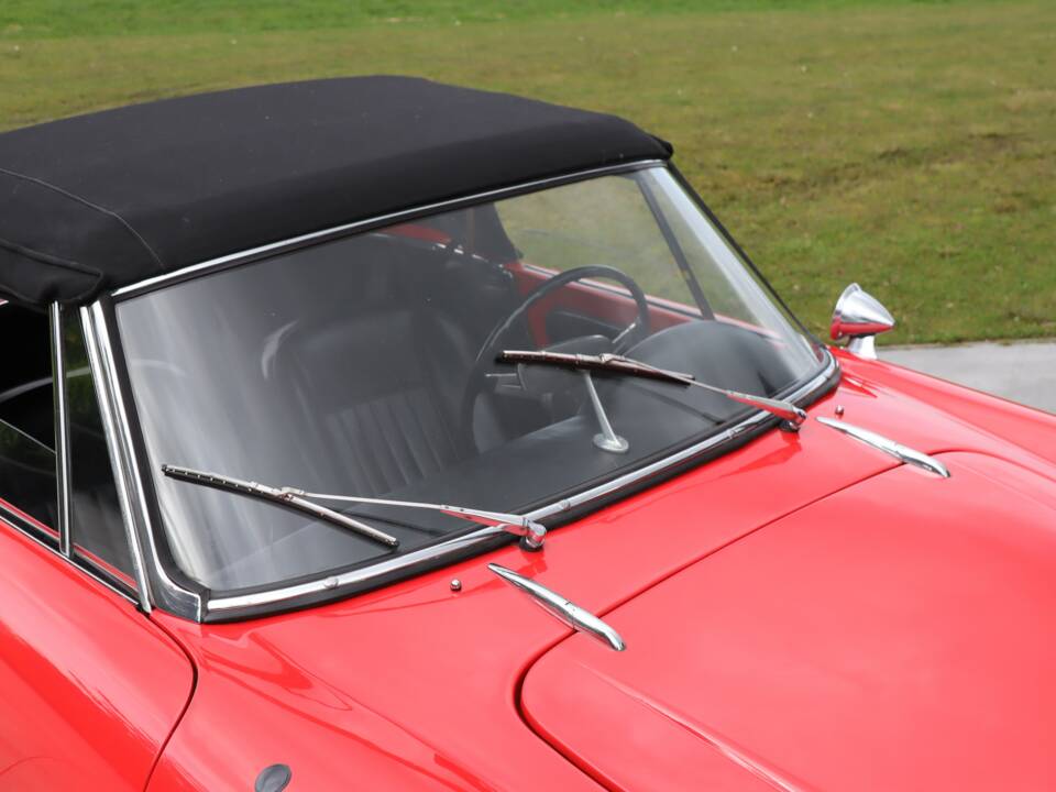 Bild 15/50 von Alfa Romeo Giulia 1600 Spider Veloce (1965)