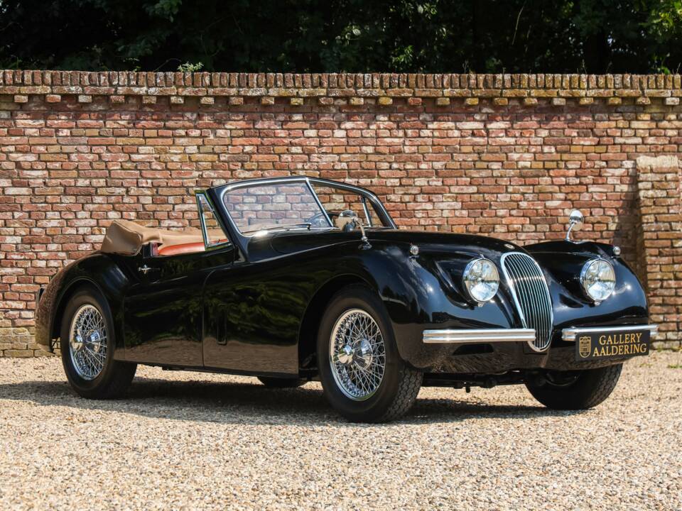 Immagine 33/50 di Jaguar XK 120 DHC (1953)