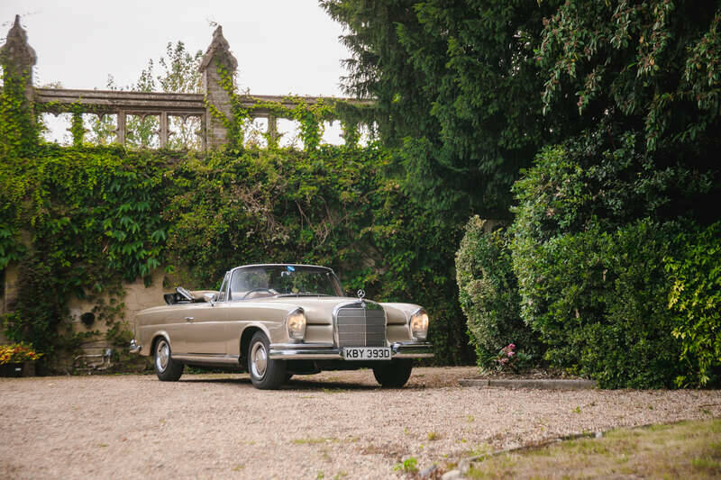 Image 49/50 of Mercedes-Benz 250 SE (1966)