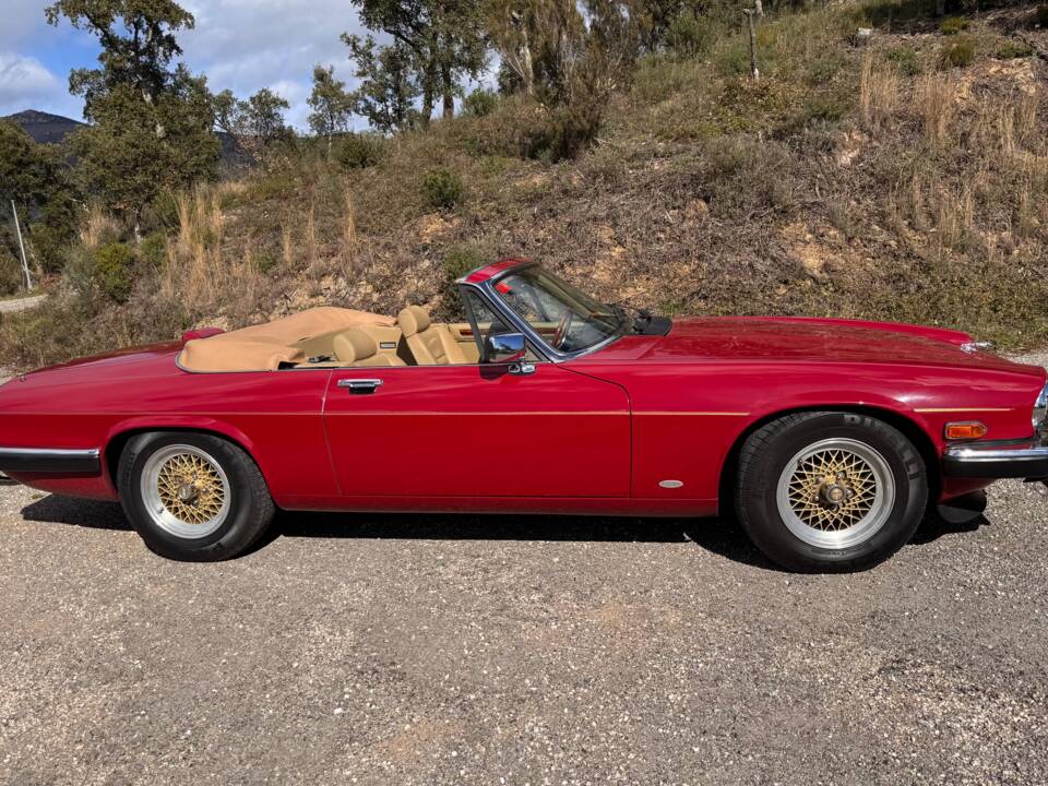 Bild 1/62 von Jaguar XJ-S Convertible (1988)