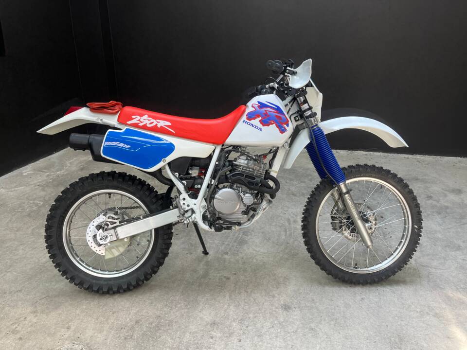 Immagine 2/12 di Honda XR 250 R (1993)