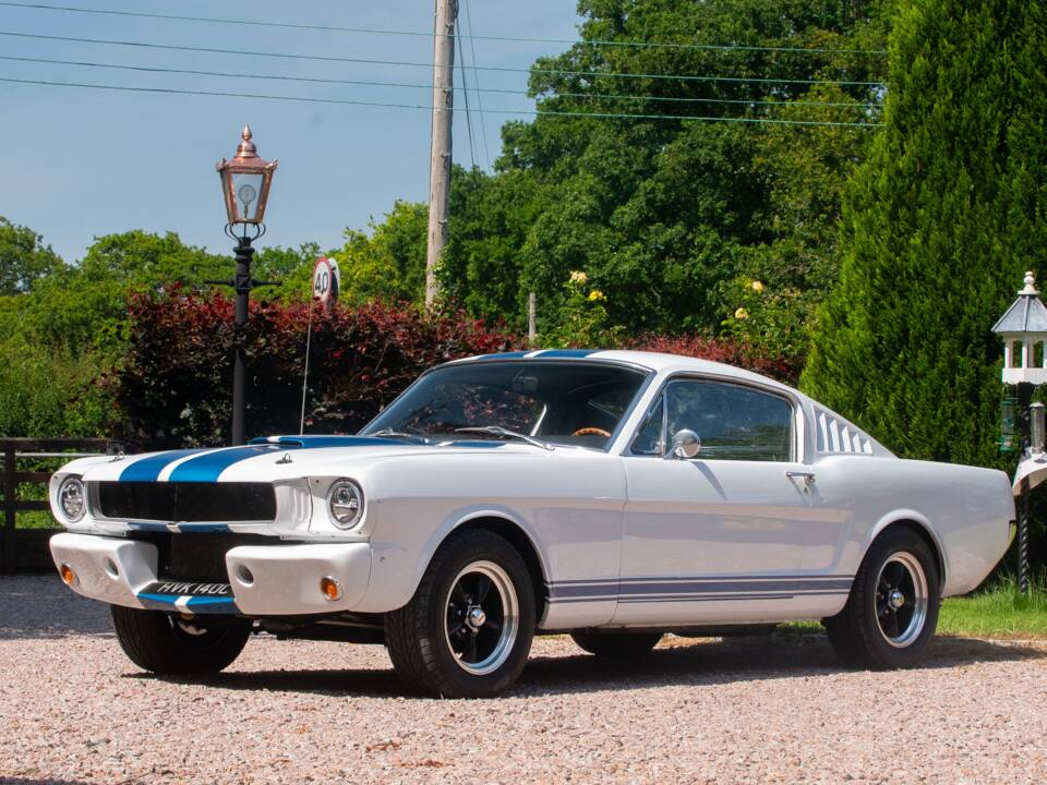 Image 6/54 of Ford Shelby GT 350 (1965)