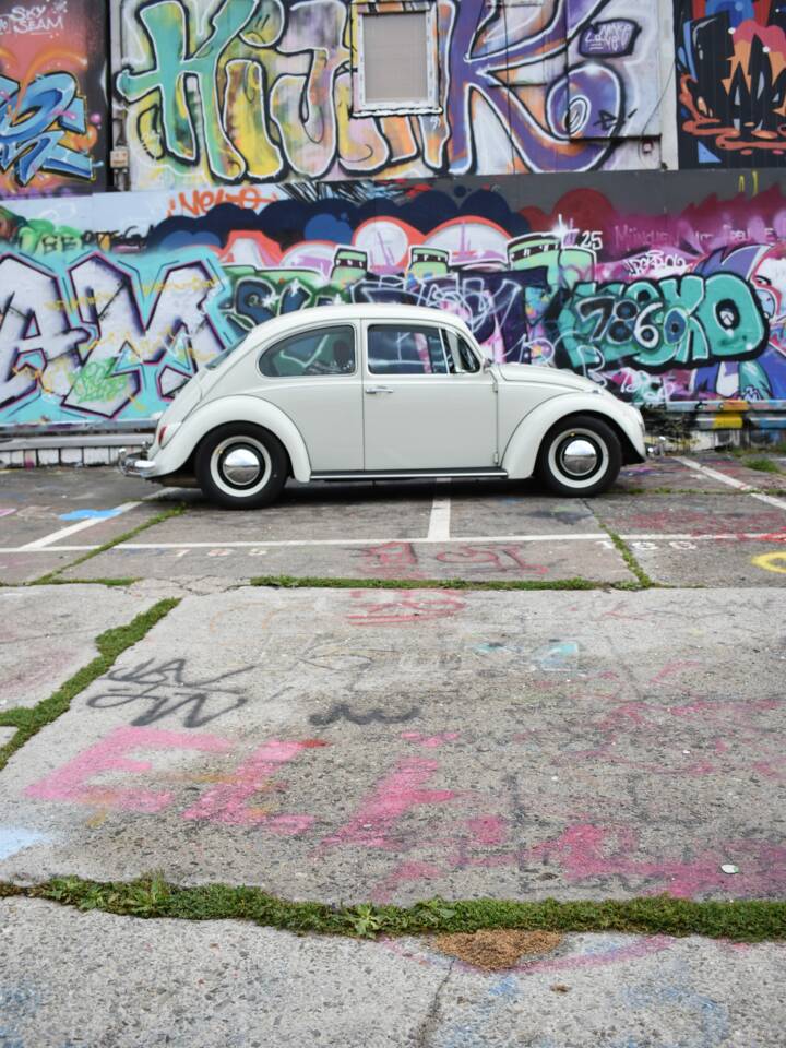 Bild 30/56 von Volkswagen Käfer 1300 (1968)