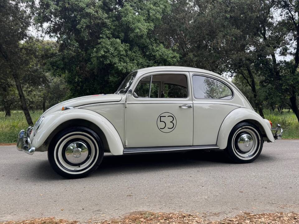 Afbeelding 2/27 van Volkswagen Käfer 1300 (1966)
