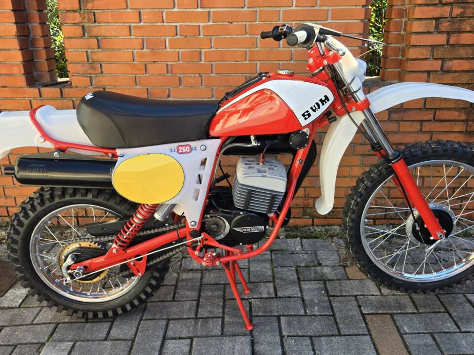 Afbeelding 6/17 van SWM RS 250 GS (1978)