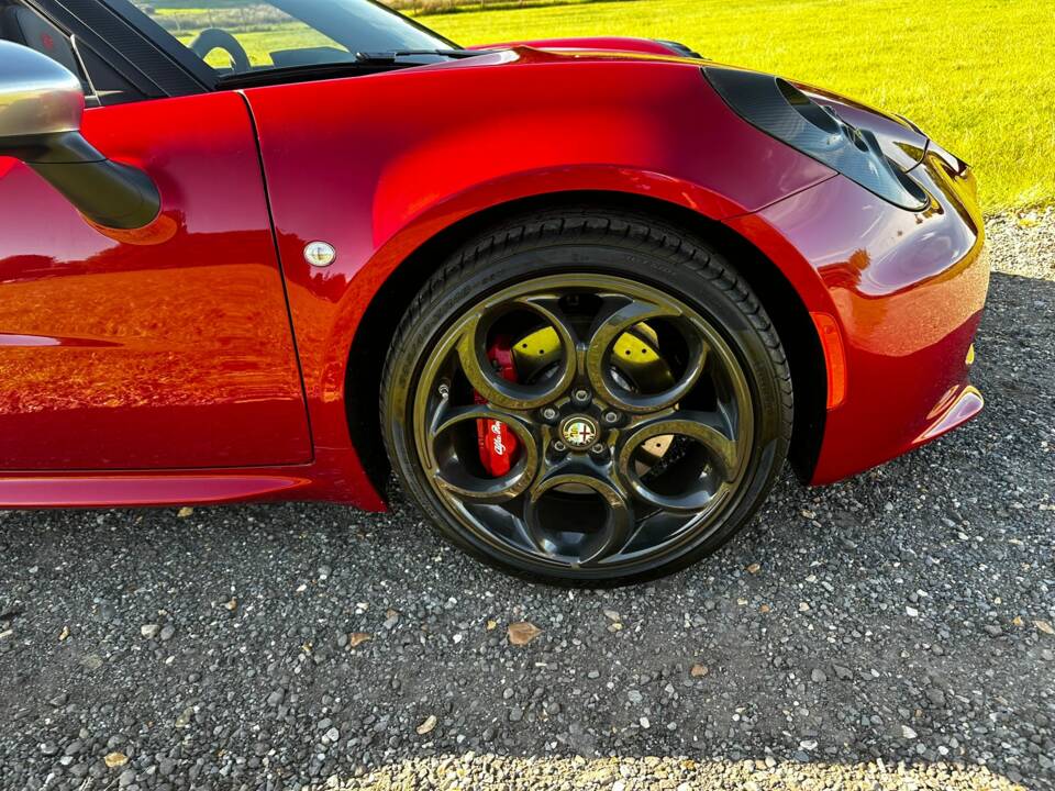 Bild 17/47 von Alfa Romeo 4C Spider (2015)