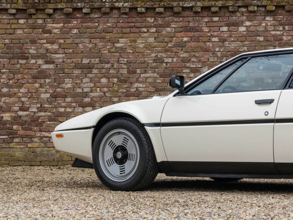 Immagine 33/50 di BMW M1 (1982)