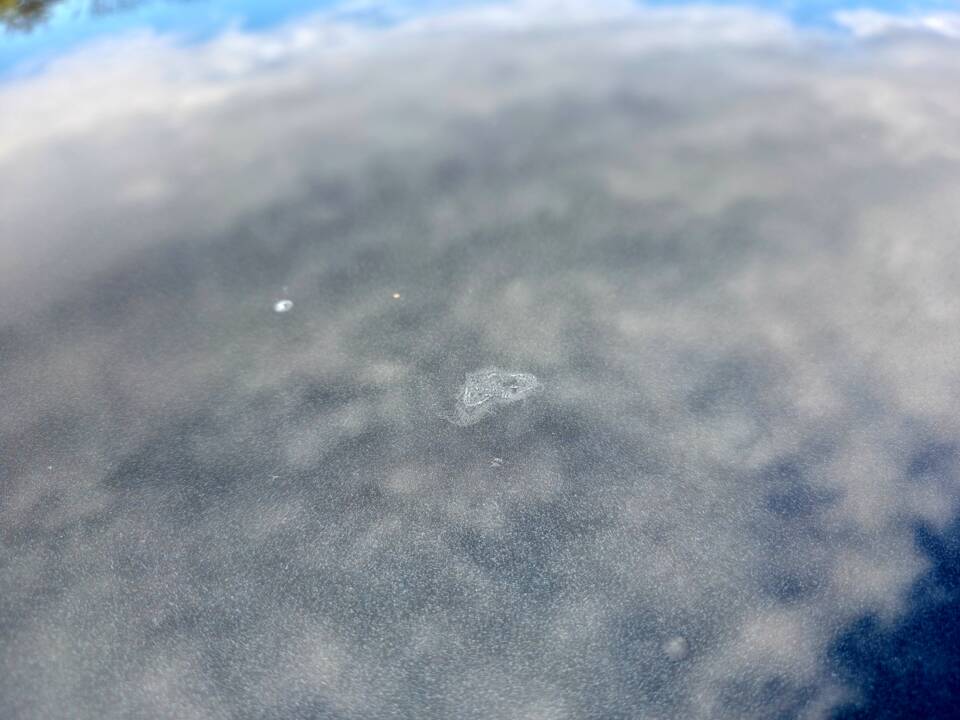 Imagen 25/31 de Alfa Romeo 147 3.2 GTA (2002)