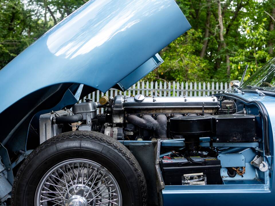 Bild 38/47 von Jaguar E-Type 3.8 (1963)