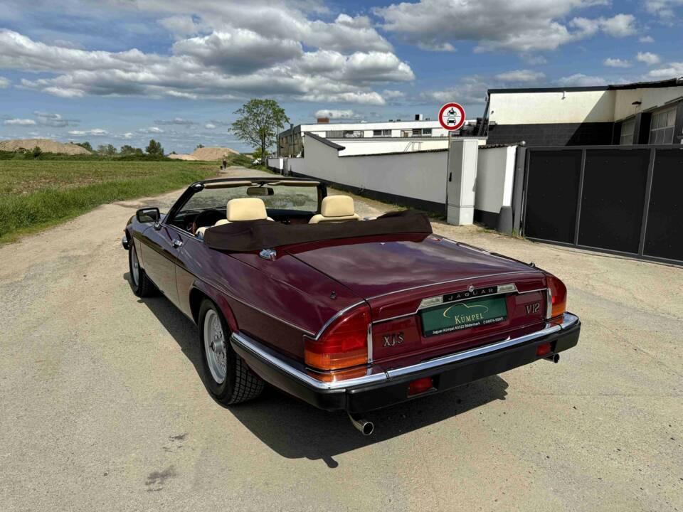 Bild 4/50 von Jaguar XJS 5.3 V12 (1989)