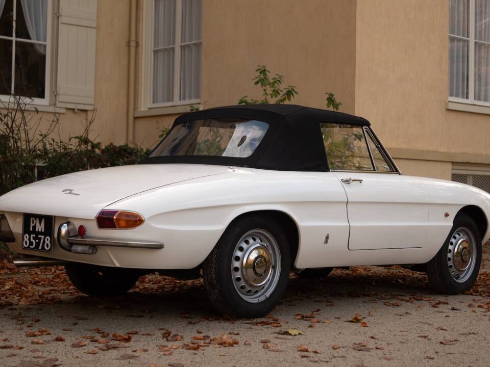 Image 6/50 de Alfa Romeo 1600 Spider Duetto (1967)