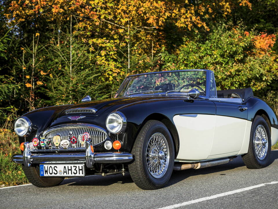 Image 34/35 of Austin-Healey 3000 Mk III (BJ8) (1965)