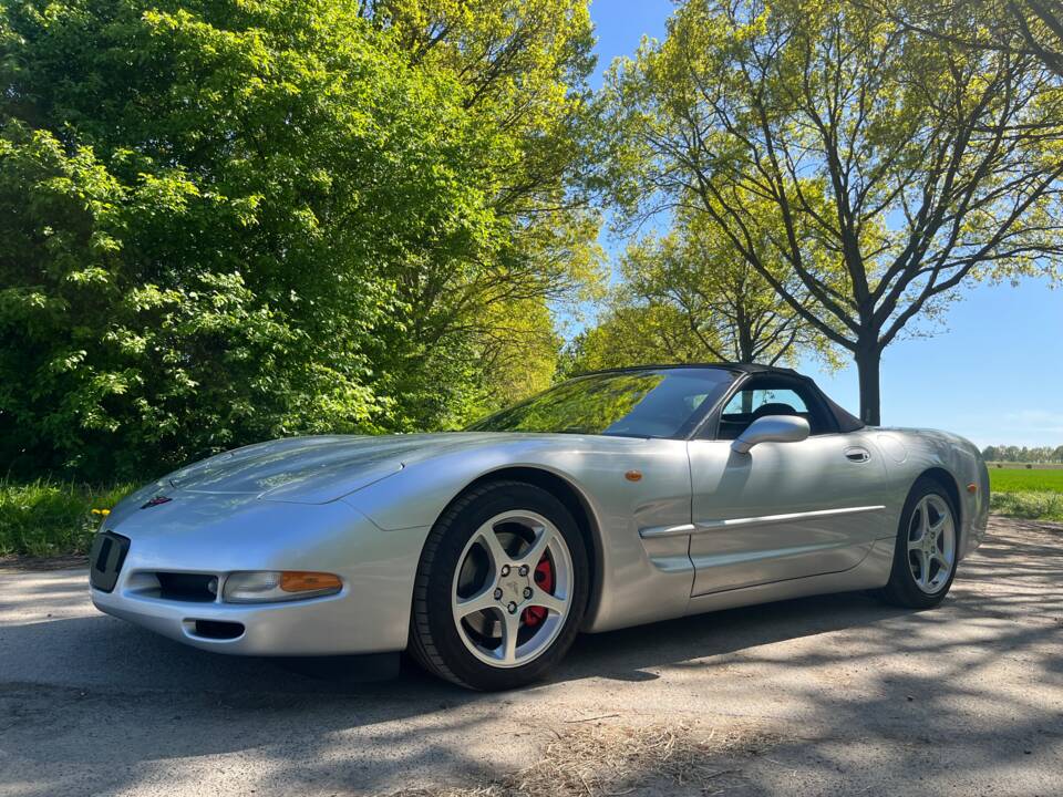 Image 37/50 of Chevrolet Corvette (2001)