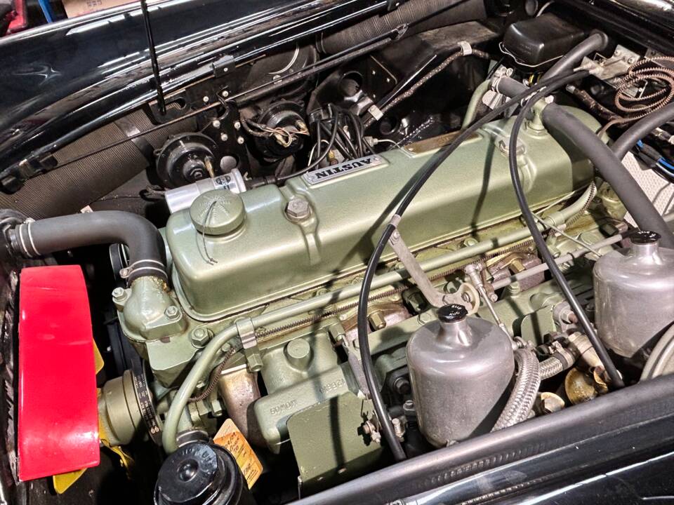Immagine 25/43 di Austin-Healey 3000 Mk II (BJ7) (1963)