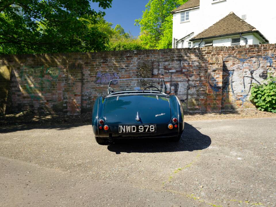 Bild 15/46 von Austin-Healey 100/4 (BN1) (1953)