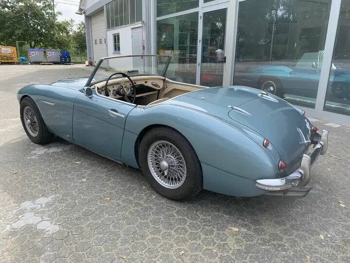 Bild 6/8 von Austin-Healey 3000 Mk I (BN7) (1959)
