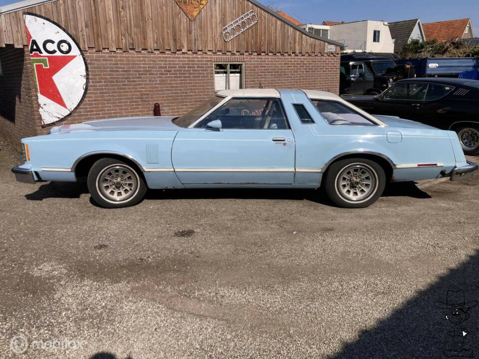 Afbeelding 6/29 van Ford Thunderbird (1979)