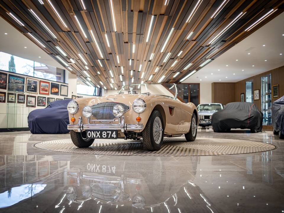Immagine 10/50 di Austin-Healey 100/4 (BN1) (1954)