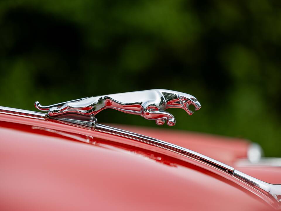 Afbeelding 8/50 van Jaguar XK 150 DHC (1959)