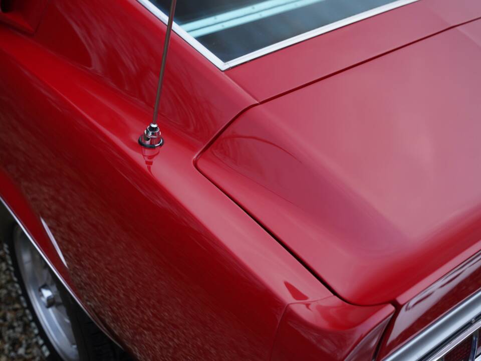 Image 28/50 de Ford Shelby GT 350 (1968)
