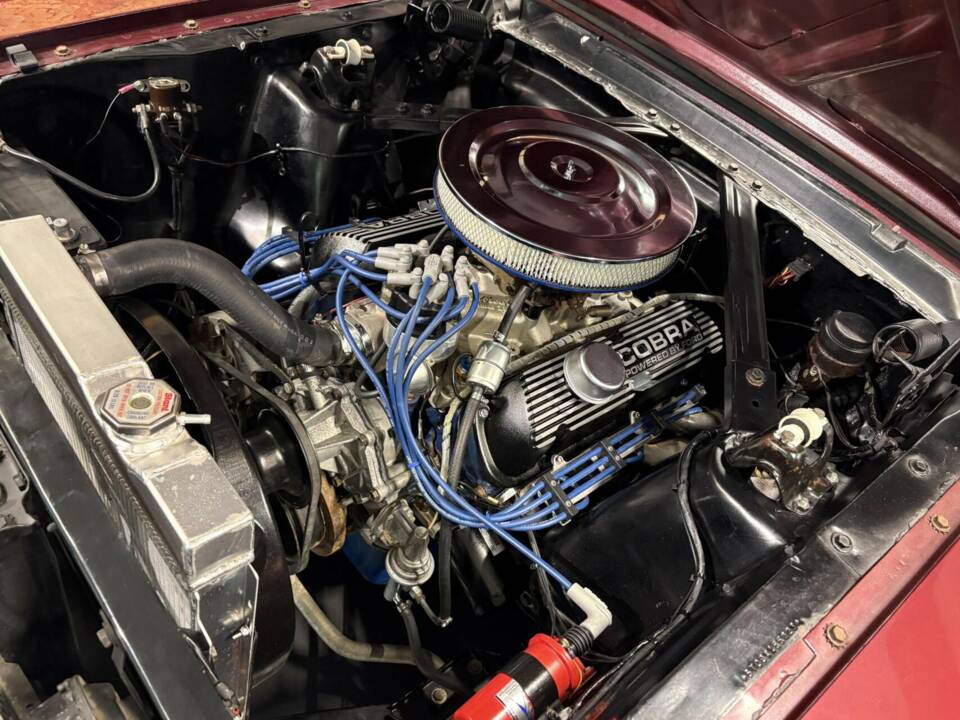 Immagine 39/50 di Ford Mustang 289 (1965)