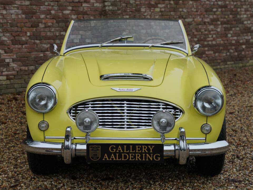 Bild 5/50 von Austin-Healey 3000 Mk I (BN7) (1960)