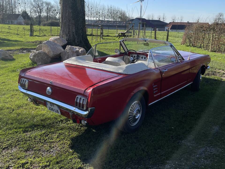 Immagine 5/8 di Ford Mustang GT (1966)