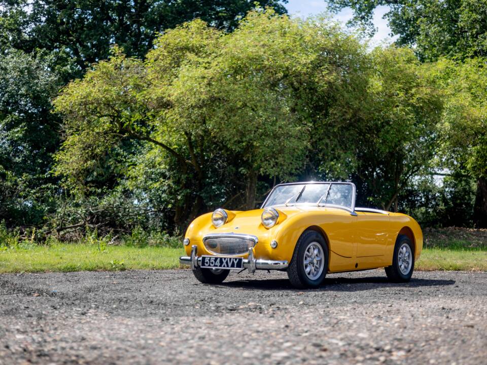 Bild 16/32 von Austin-Healey Sprite Mk I (1961)