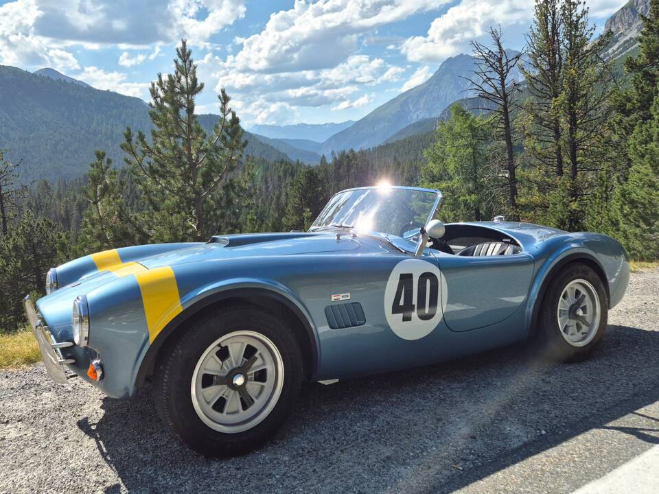 Bild 1/26 von AC Cobra 289 (1963)