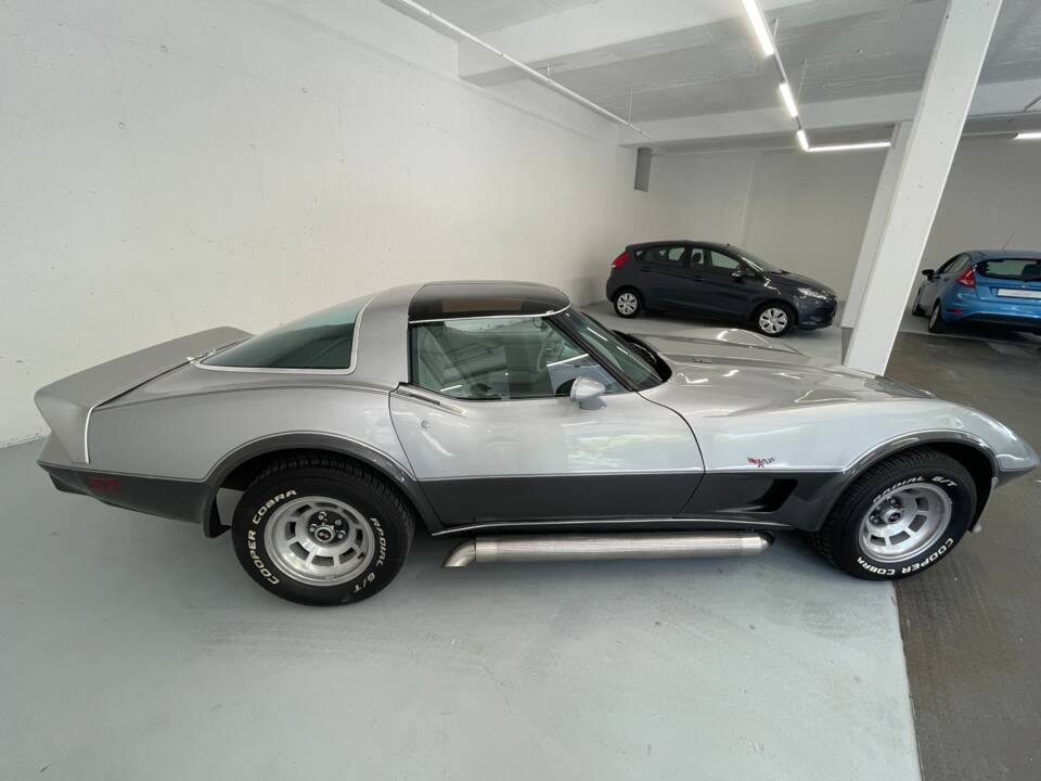 Bild 9/40 von Chevrolet Corvette 25th Anniversary (1978)