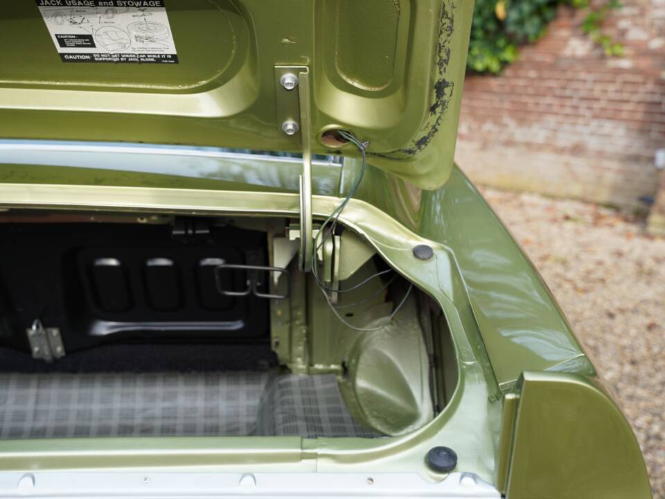 Afbeelding 23/50 van Ford Shelby GT 350 (1968)