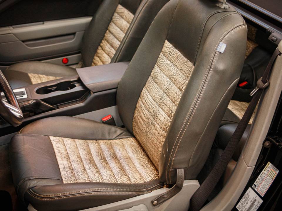 Image 29/49 of Ford Mustang GT (2006)