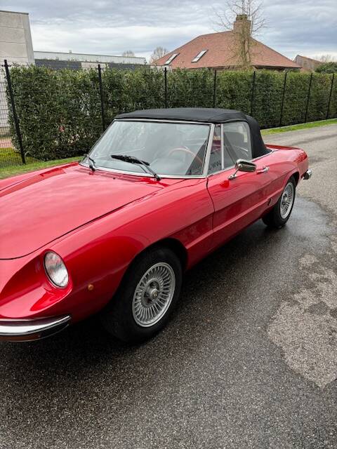 Immagine 14/14 di Alfa Romeo 1600 Spider (1978)