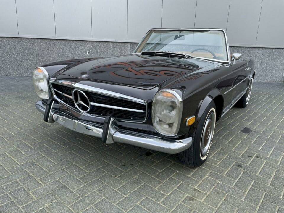 Immagine 6/36 di Mercedes-Benz 280 SL (1969)