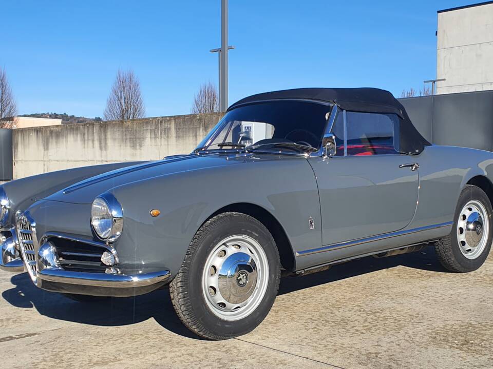 Image 10/50 of Alfa Romeo Giulietta Spider (1959)