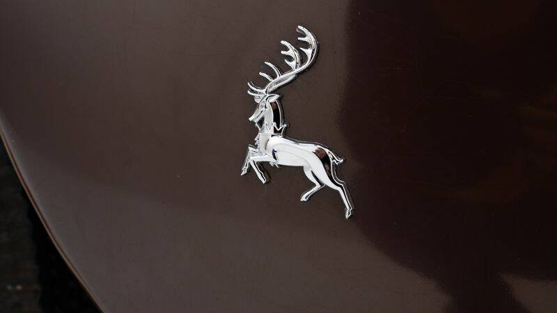 Image 13/15 of Auburn 852 Phaeton (1936)