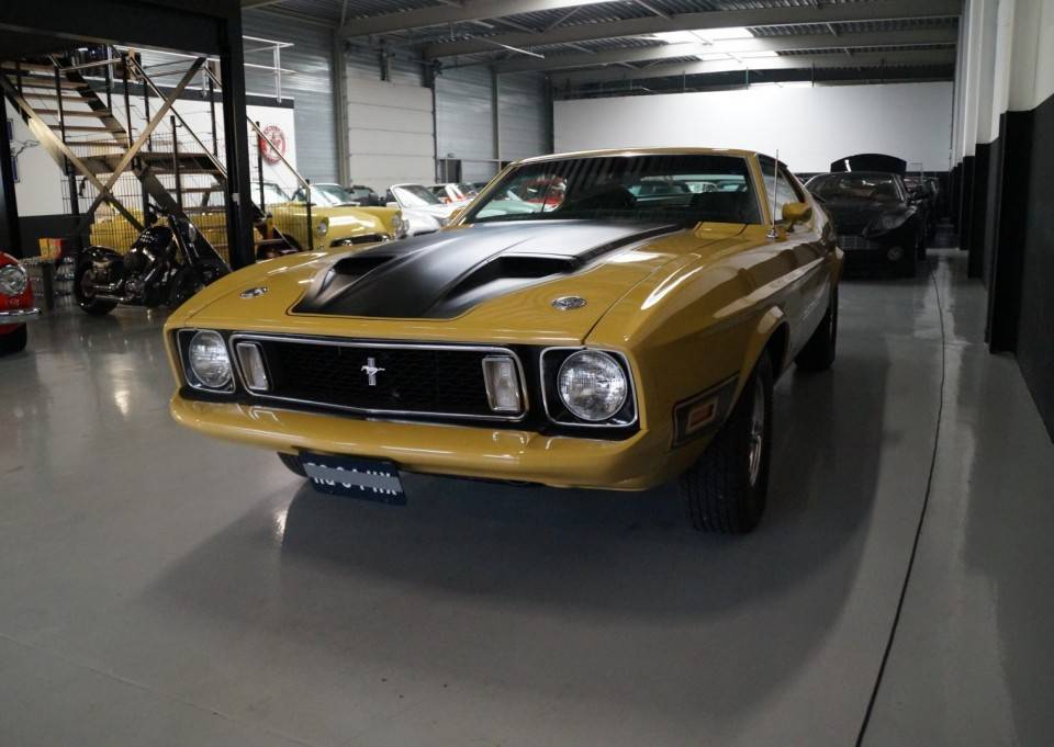 Image 10/46 of Ford Mustang Mach 1 (1972)