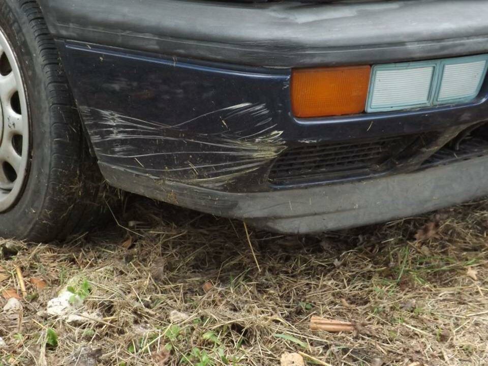 Image 5/50 of Volkswagen Golf III Cabrio 1.6 (1996)