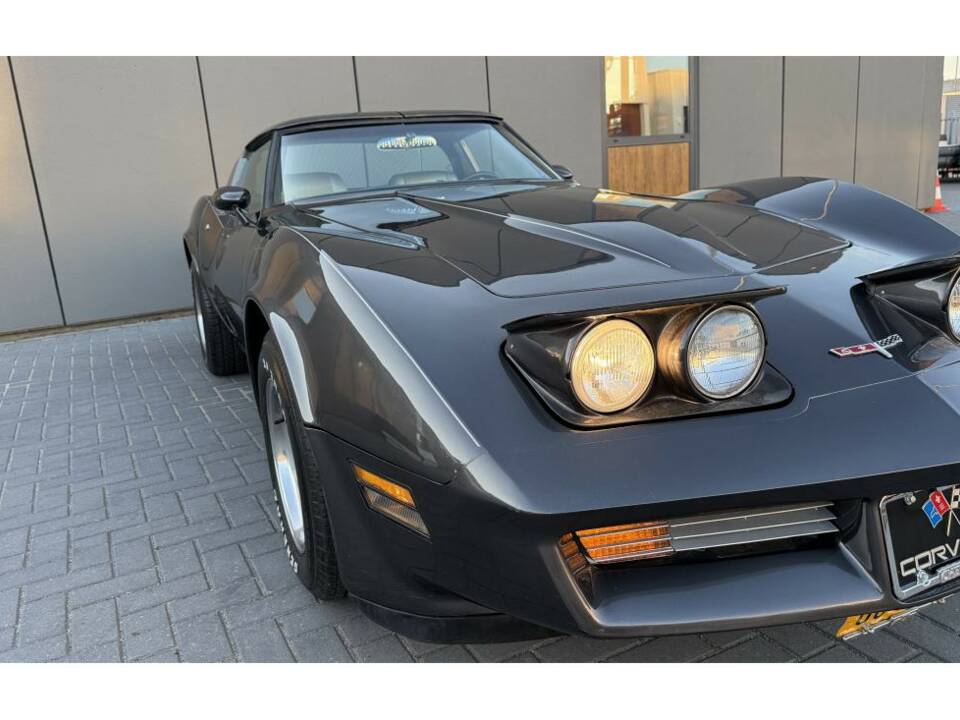 Bild 11/14 von Chevrolet Corvette Sting Ray (1981)