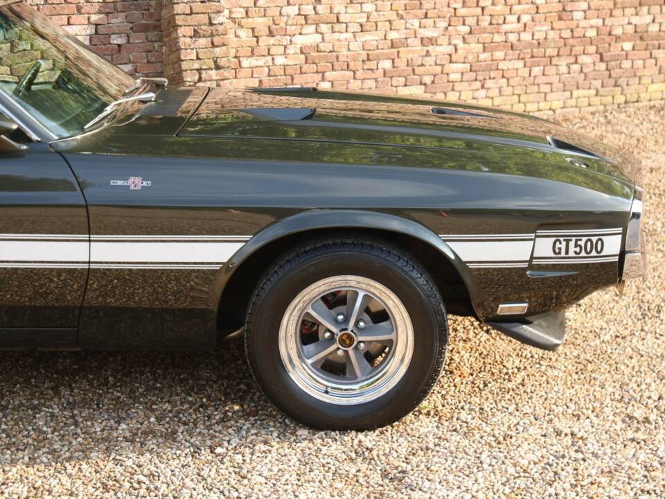 Image 33/50 of Ford Shelby GT 500 (1969)