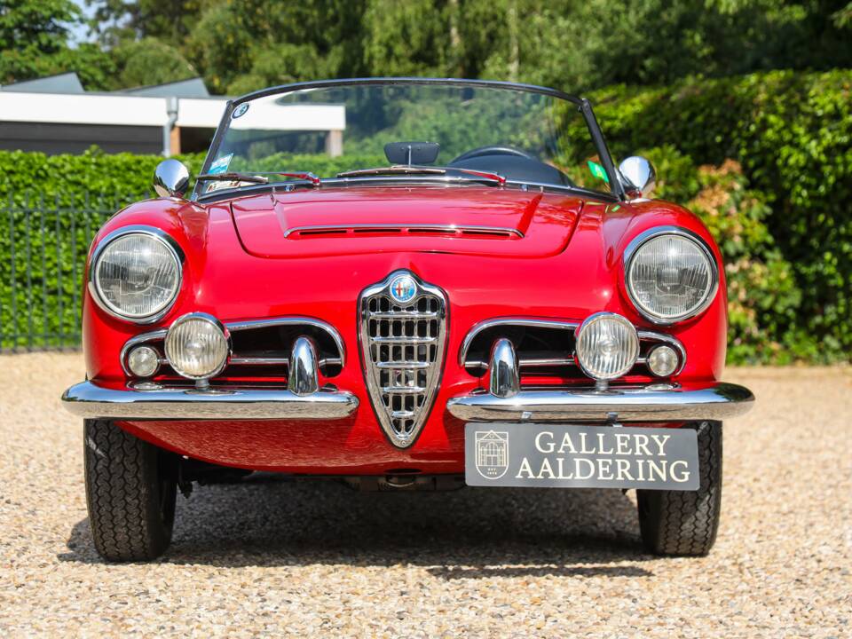 Bild 22/50 von Alfa Romeo Giulia 1600 Spider Veloce (1965)