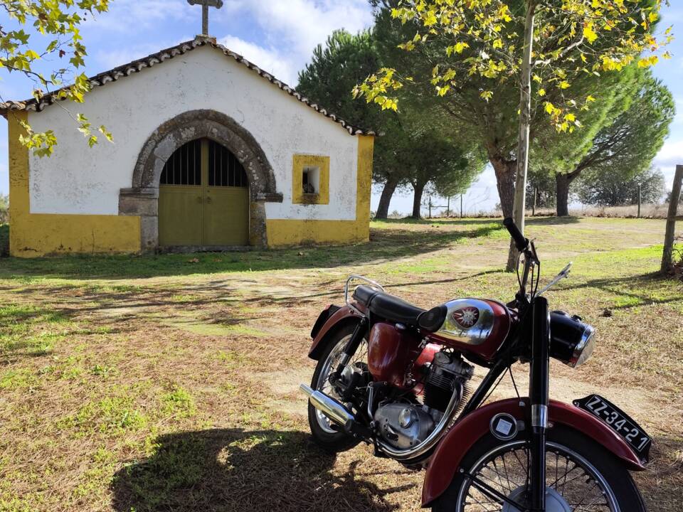 Image 39/51 of BSA B 44 (1966)