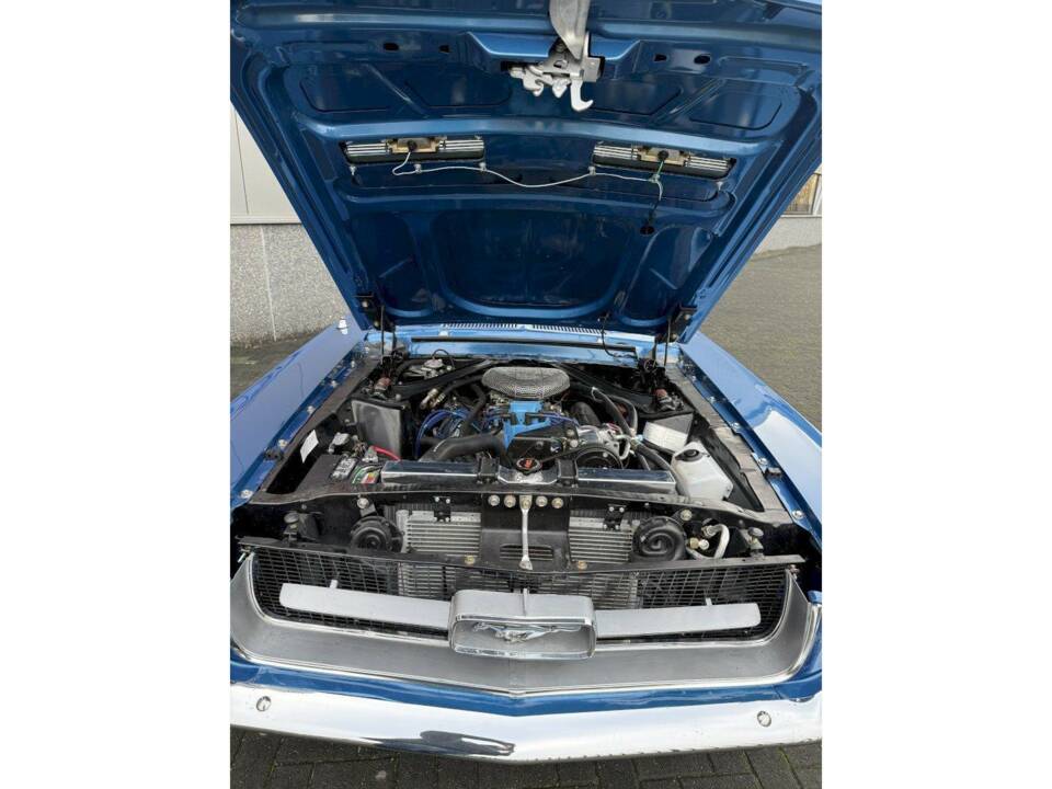 Bild 23/34 von Ford Mustang 390 GTA (1967)