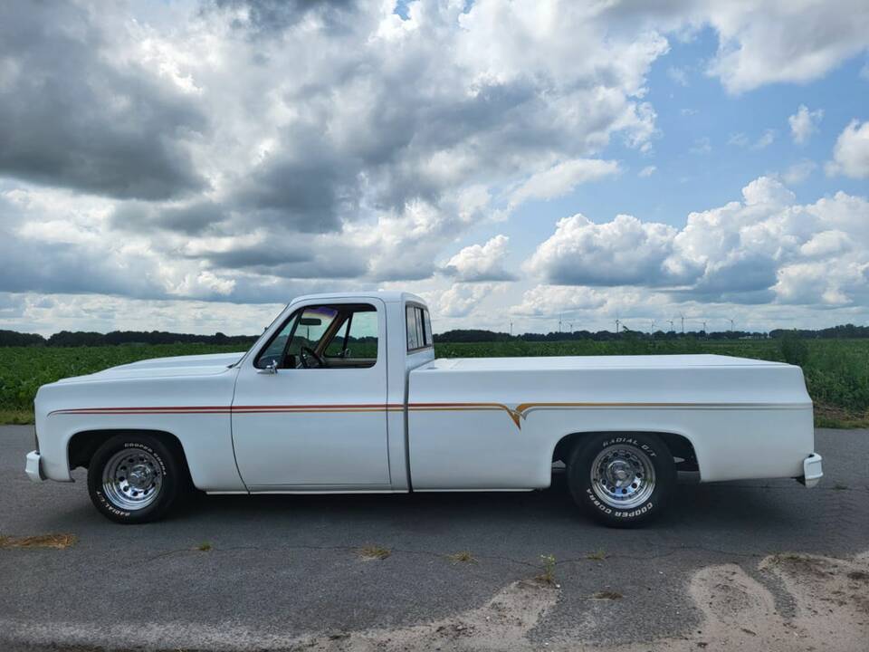 Image 4/8 of Chevrolet C10 Fleetside (1979)