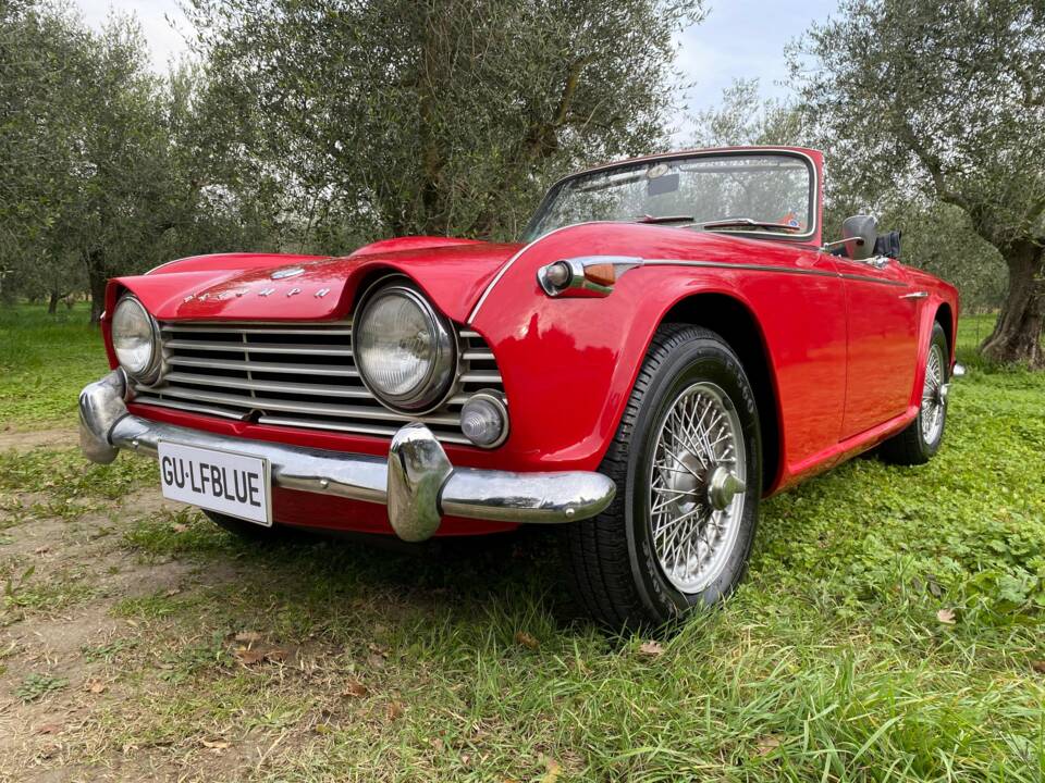 Image 31/33 de Triumph TR 4A IRS (1966)