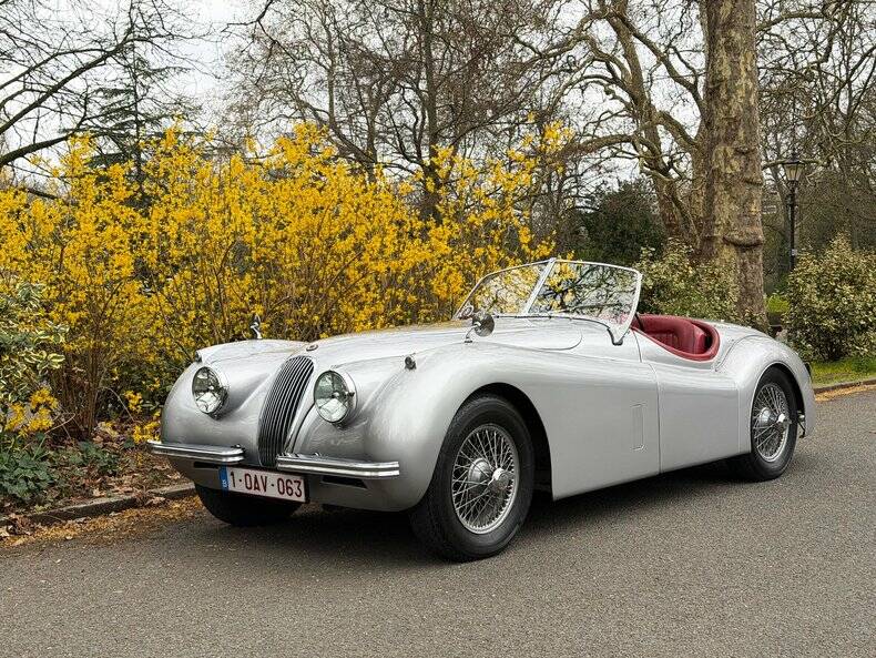 Image 41/50 of Jaguar XK 120 OTS (1953)